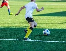 回家的诱惑,中宝莲一角,演员否认退,3377体育官网,3377体育网页版入口,3377体育h5在线官网,3377体育app下载