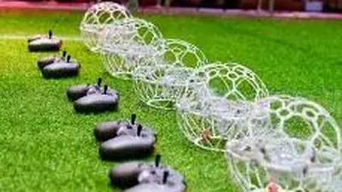 3377体育网页版入口 资讯 130327 rr9