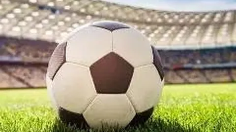 3377体育网页版入口 产品 105557 lv4