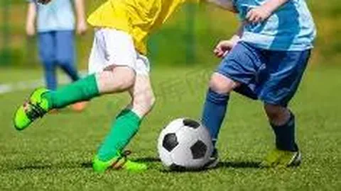 3377体育网页版入口 产品 105604 6i6