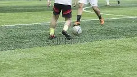 3377体育网页版入口 资讯 125524 l9k