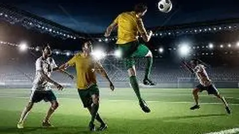 3377体育网页版入口 资讯 104209 tz2